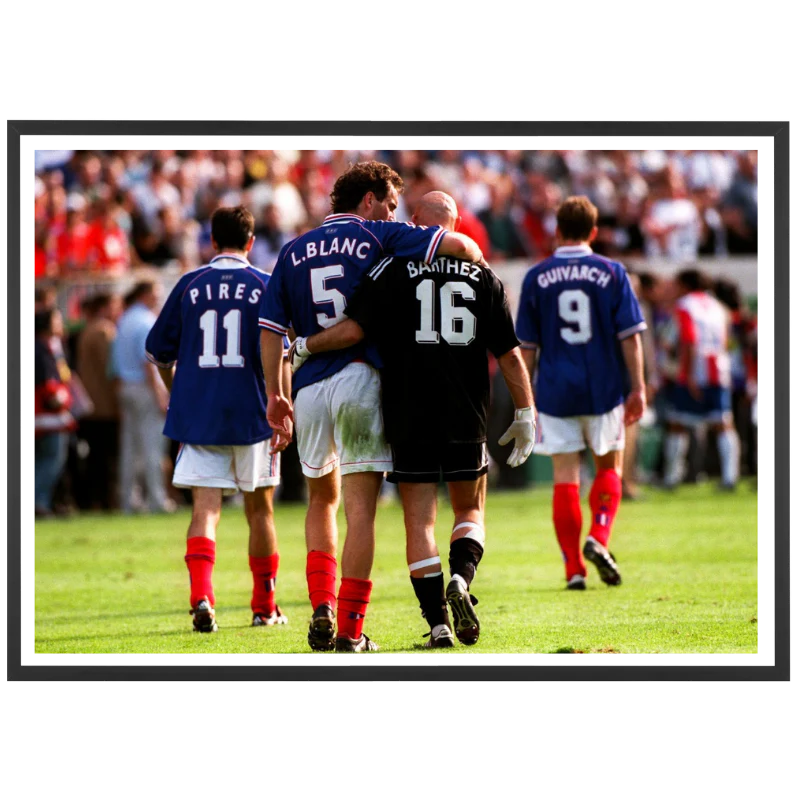 Blanc et Barthez, 1998