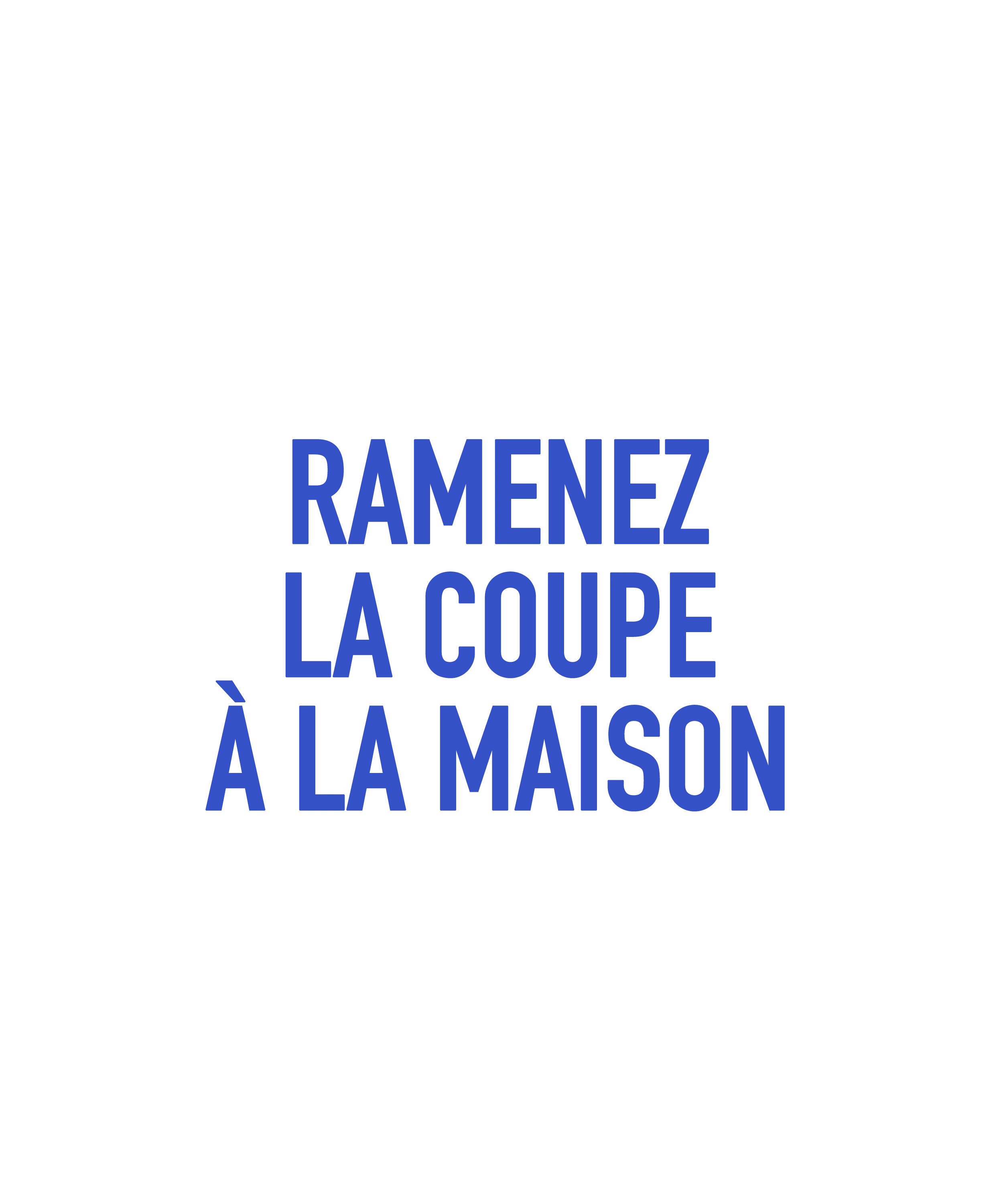 Chaussettes « Ramenez la coupe à la maison » - Image 3