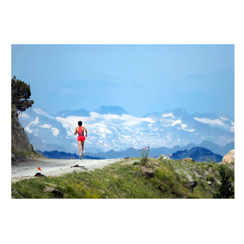Coureur de trail devant les Pyrénées, 2007 - Image 3