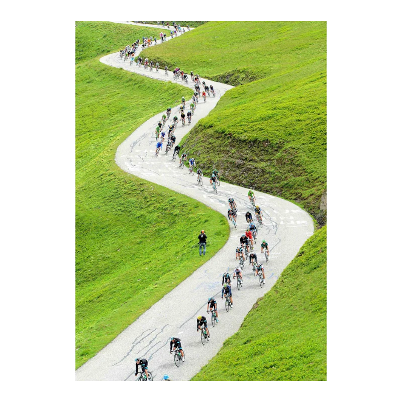 Descente alpestre, 2013 - Image 3