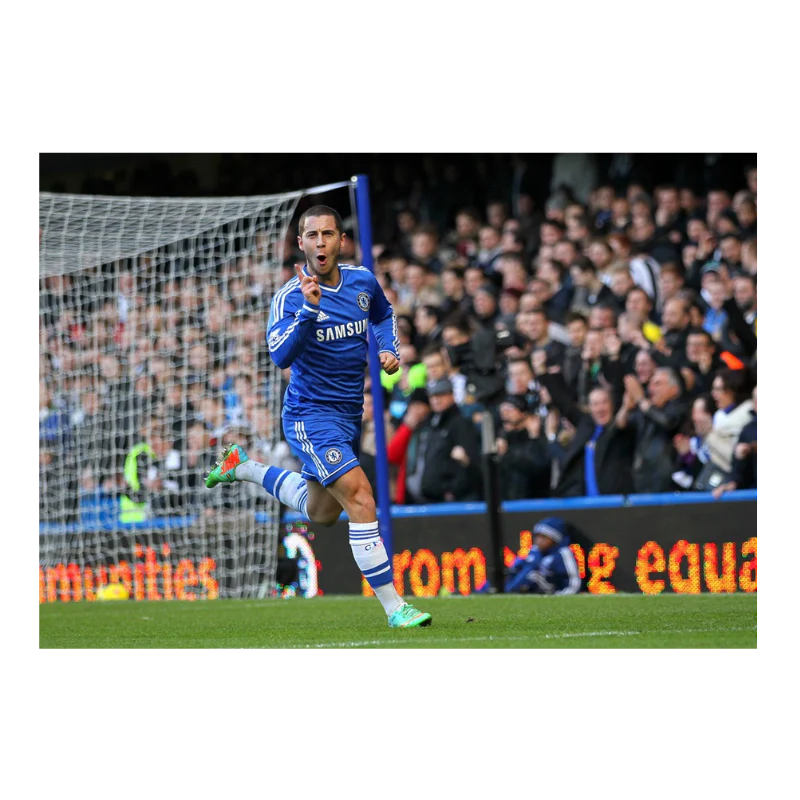 La joie d'Eden Hazard, 2014 - Image 3