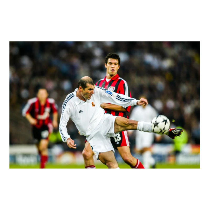 La volée de Zidane, 2002 - Image 3