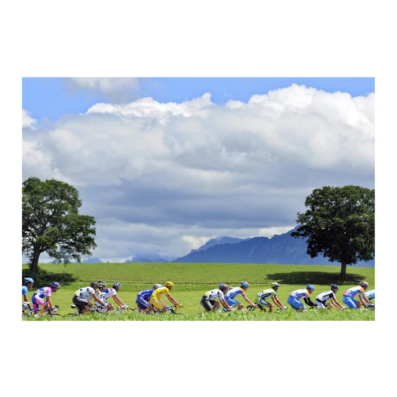 Le peloton du Tour devant les montagnes, 2009 - Image 3
