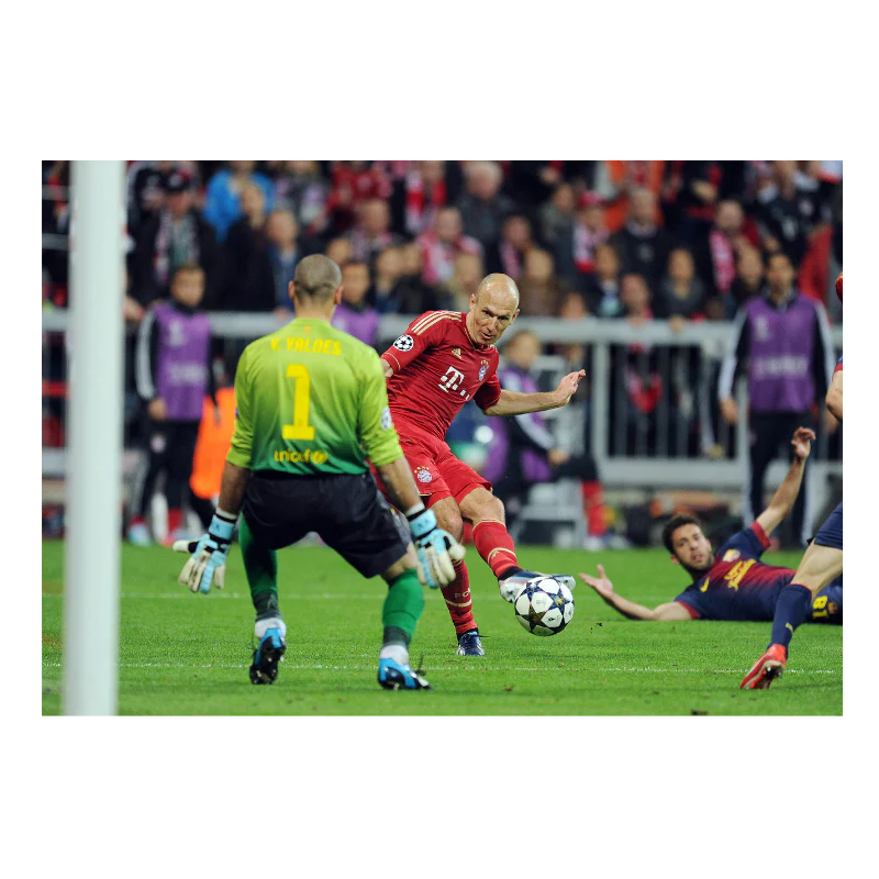 Robben trompe Victor Valdes, 2013 - Image 3