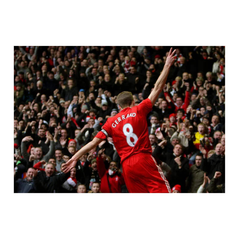 Steven Gerrard, 2010 - Image 3