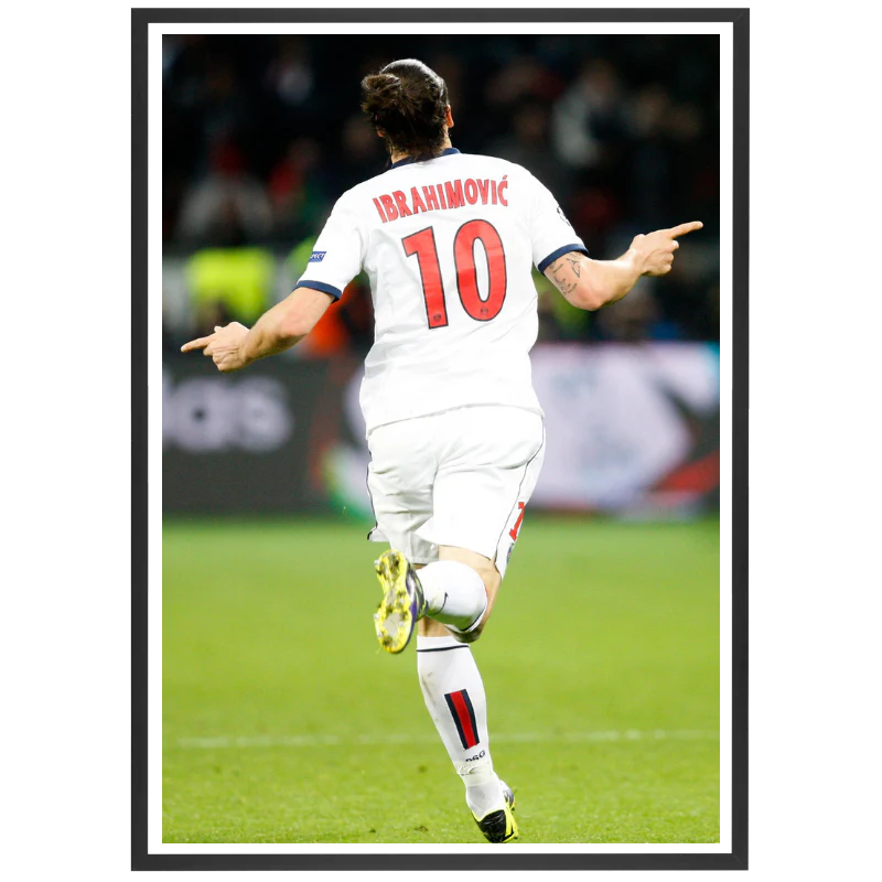 Zlatan Ibrahimovic au PSG, 2014